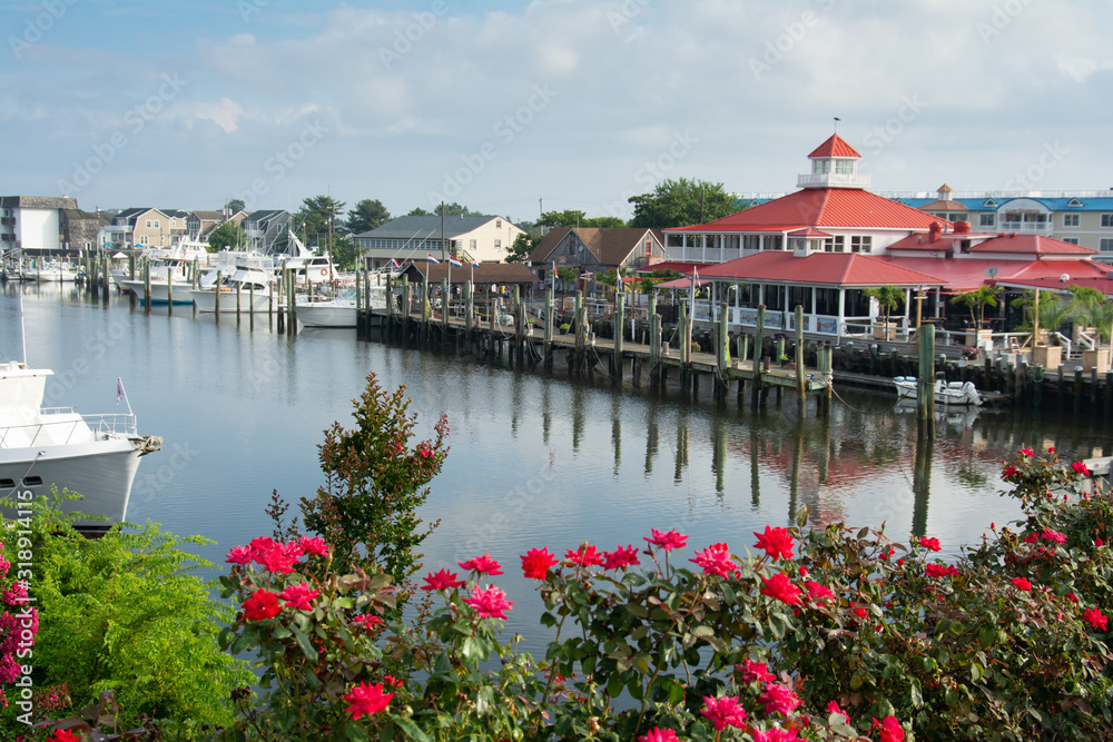 Canal with dock and restaurant